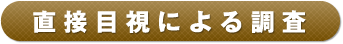 目視による調査