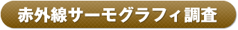 赤外線サーモグラフィ調査